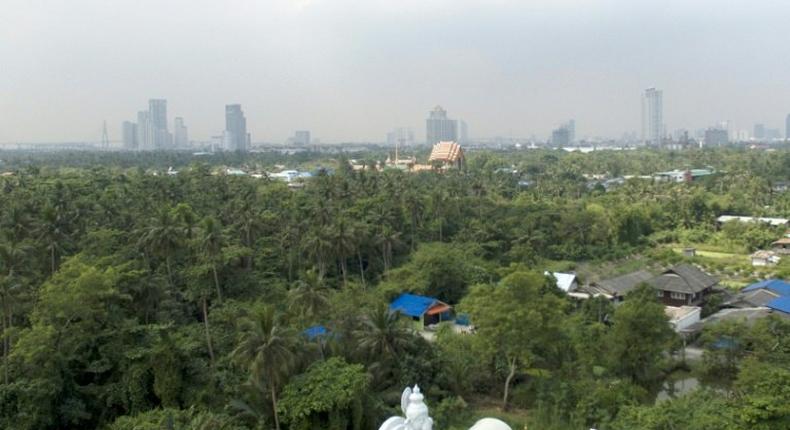 Bang Krachao, the so-called Green Lung of Bangkok, is under threat from developers