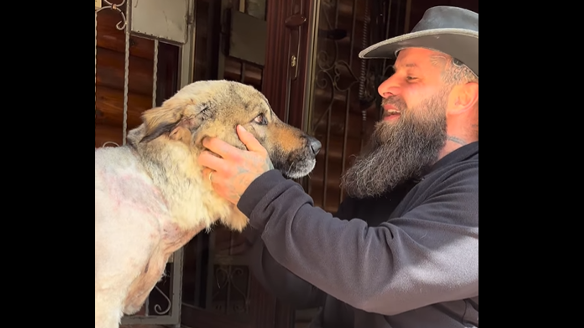 Humanost na delu! Jelović zbog ljubavi prema životinjama Švajcarsku zamenio Jajcem: Napustio sve tamo i krenuo u nesvakidašnju misiju koja je ODUŠEVILA region