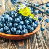 A természet rejtett kincse: ezért érdemes ősszel kökényt fogyasztani