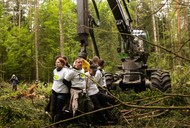 Puszcza Białowieska i protesty ekologów