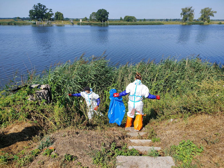 Akcja usuwania martwych ryb z Odry
