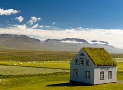Domki jak z bajki o Muminkach. To Islandia