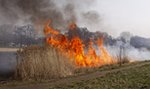 Śmierć w płomieniach. To nie był zwykły pożar traw