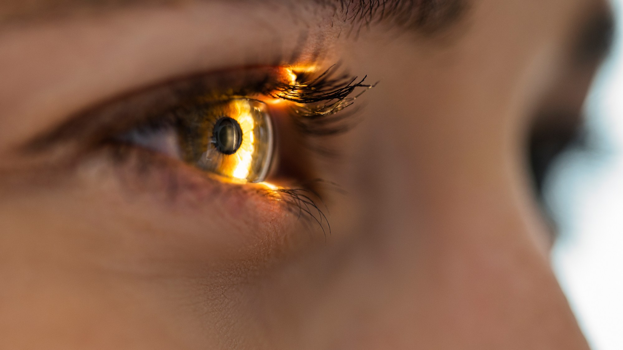 Nedávne štúdie zistili, že zmeny v sietnici oka môžu predpovedať riziko Alzheimerovej choroby (ilustračné foto).