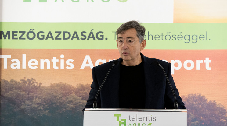 Újabb jelentős területekkel nőtt Mészáros Lőrinc cége a  Talentis Agro Holding / Fotó: MTI/Krizsán Csaba