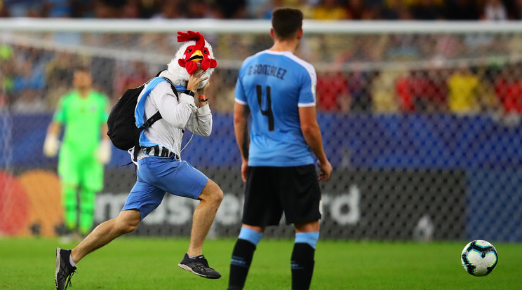 A Chile-Uruguay meccsen futott be a gyepre egy szurkoló / Fotó: GettyImages