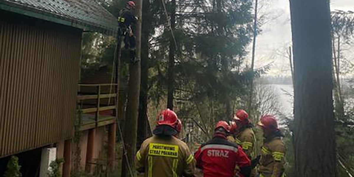 Horror pod Olsztynem. Młody mężczyzna skonał 15 metrów nad ziemią. Jego ciało wisiało na uprzęży.