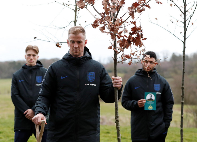 International Friendly - Netherlands vs England