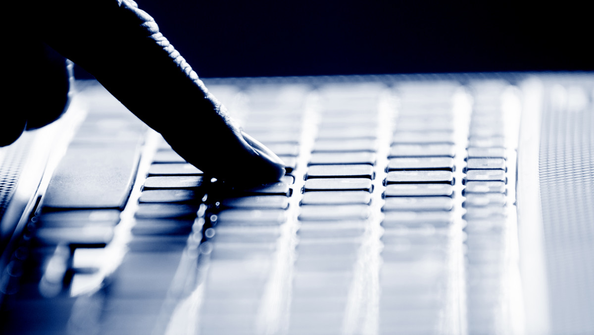 Internetowych oszustów wytropi i unieszkodliwi Techniczne Centrum Zwalczania Cyberprzestępczości – informuje "Rzeczpospolita".