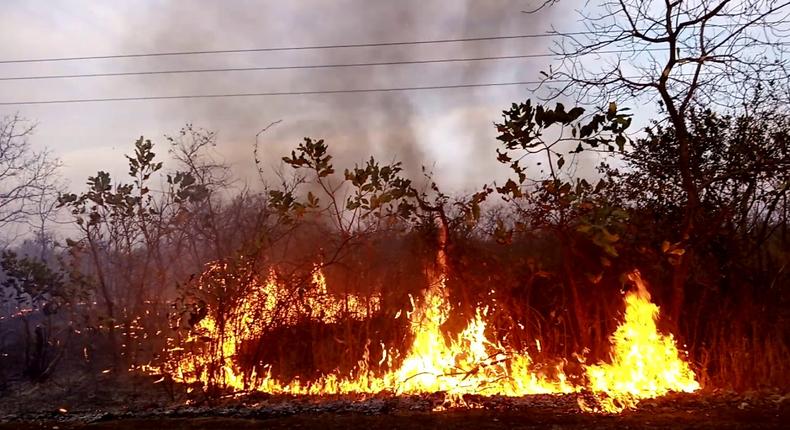 feu de brousse