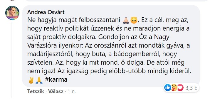 Hozzászólásban üzent Osvárt Andrea Karácsony Gergelynek 