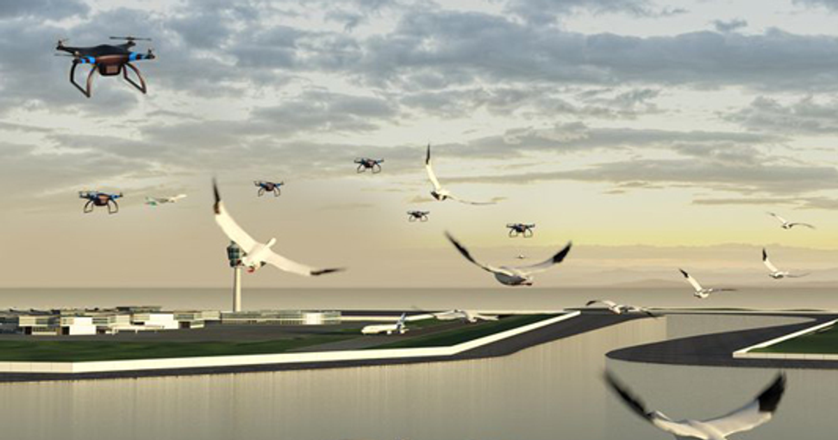 www.aerotelegraph.com