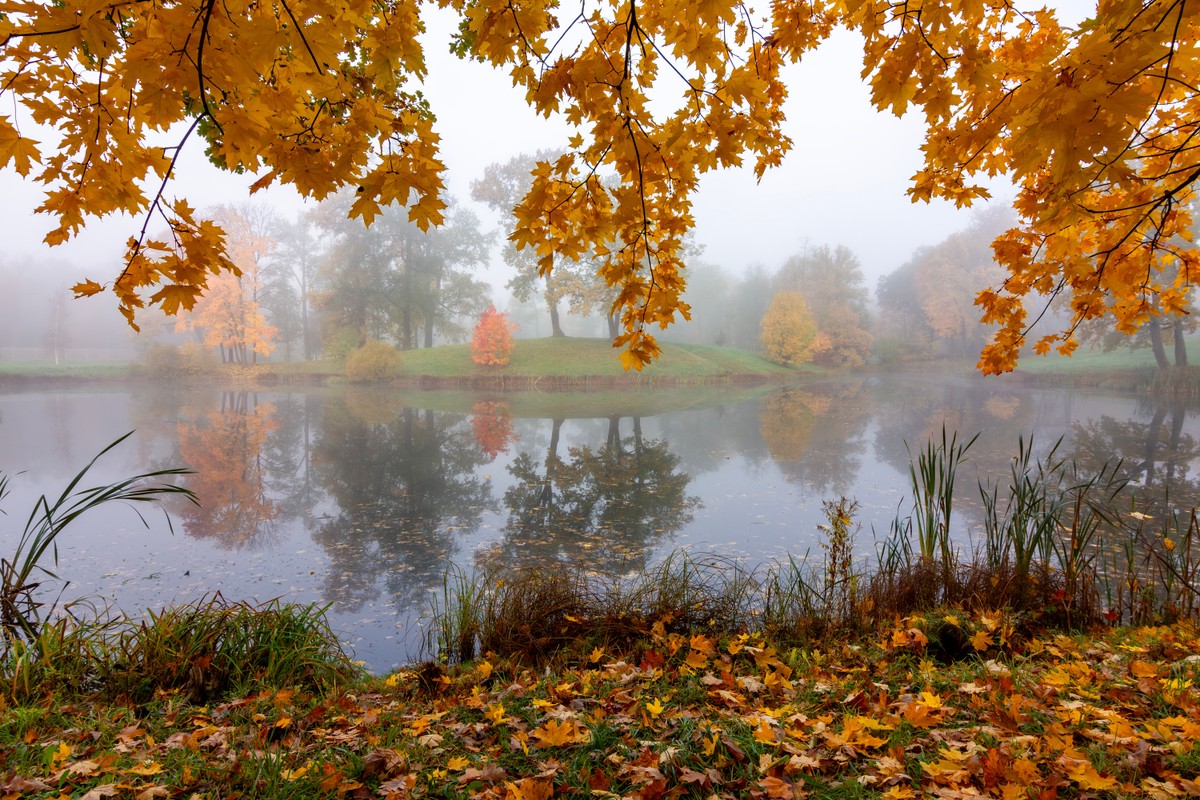 jesień, pogoda, prognoza pogody, mgła
