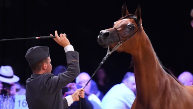 Eksperci o Pride of Poland: prowincjonalny jarmark zamiast tradycji