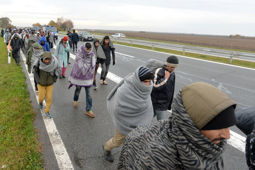 Oko stotinu migranata pešice ide ka hrvatskoj granici 