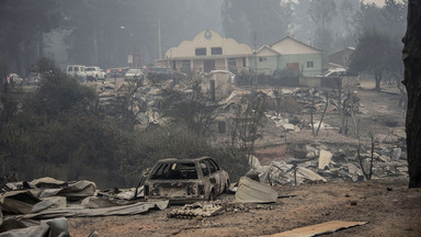 Katastrofalne pożary lasów wciąż szaleją w Chile