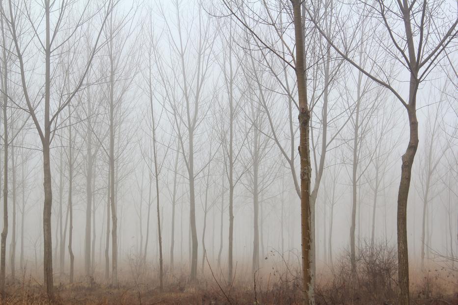 Végre annyi az extrém hidegnek és ködnek: többfelé plusz 10 Celsius-foknál is melegebb lehet a hétvégén /Illusztráció: Northfoto