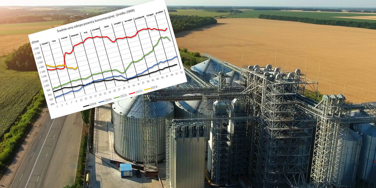 Ceny zbóż w Polsce podlegają trendom na światowych rynkach.