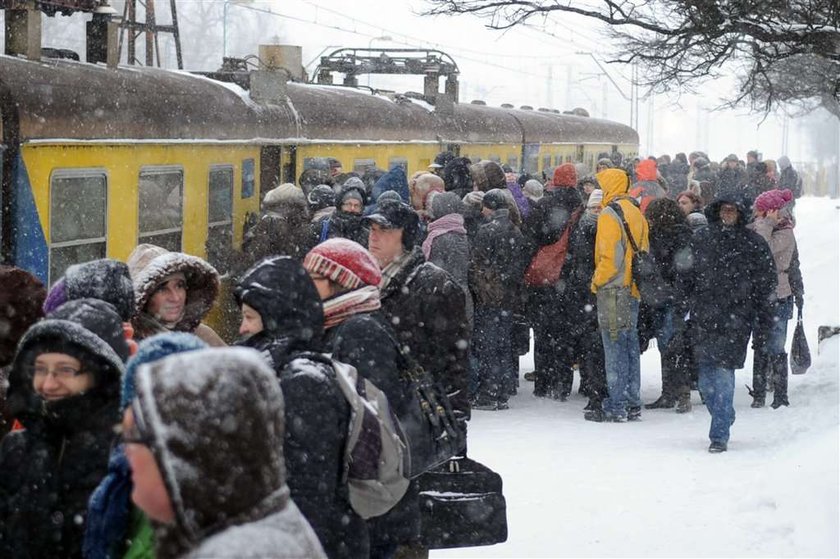 Skandal! Odwołali go za chaos. Teraz wraca do PKP