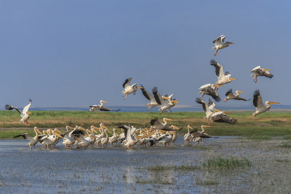 Delta Dunaju (Rumunia, Ukraina)