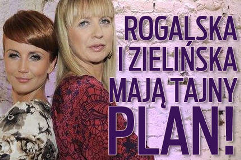 Rogalska i Zielińska mają tajny plan! 