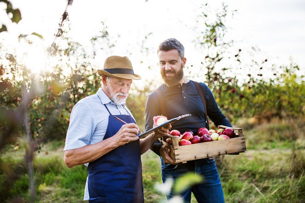 Planujesz sukcesję firmy? Kiedy fundacja rodzinna jest korzystnym rozwiązaniem dla firmy rodzinnej?