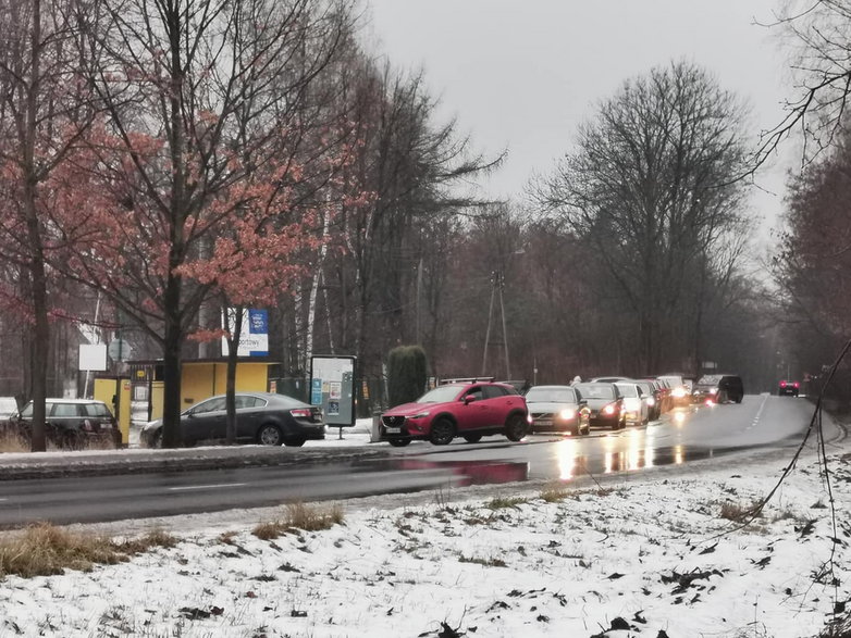 Kolejka przed punktem pobrań