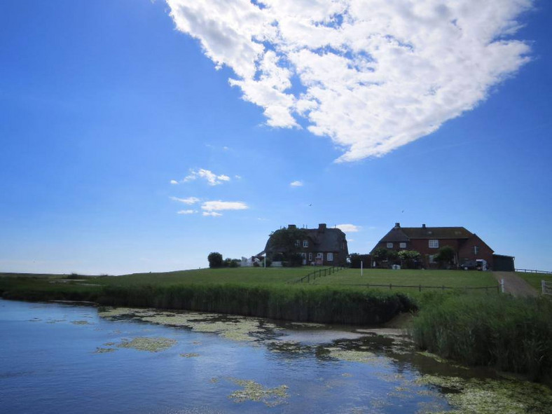 Wyspa Hallig Hooge, Niemcy