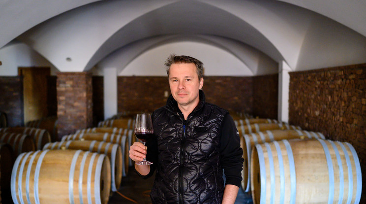 Figula Mihály családja évtizedek óta készít bort Balatonfüreden / Fotó: MTI Vasvári Tamás