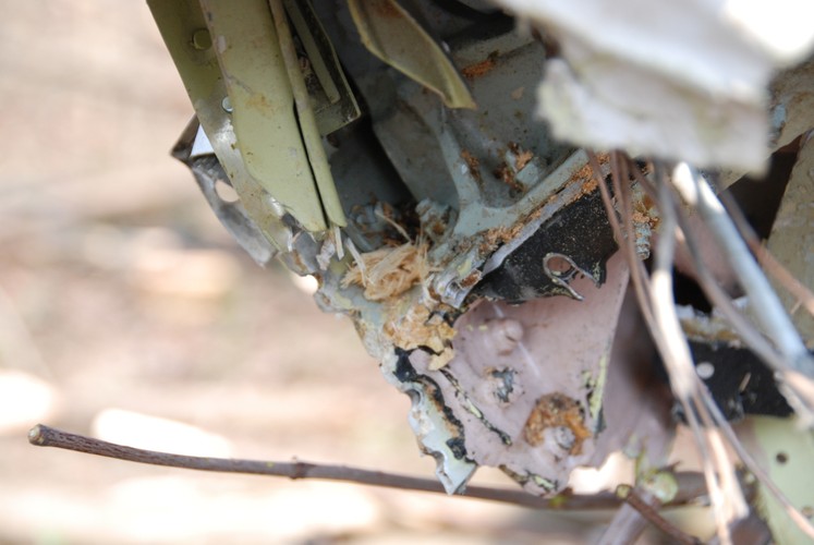 Katastrofa smoleńska