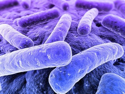 Fontos a probiotikum-szedés!