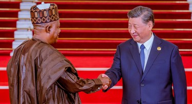 Nigeria leverages on ties with China to improve digital space – Shettima