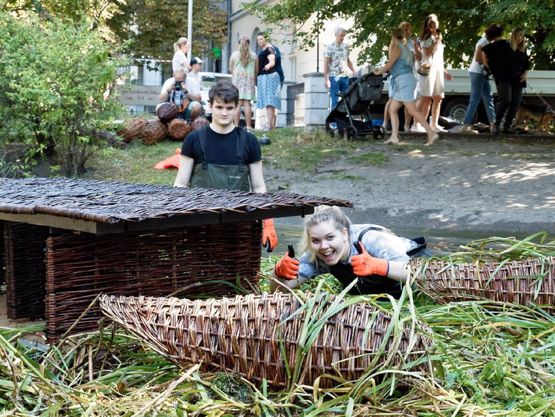 Pływające ogrody dla kaczek w Poznaniu