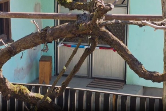 PRIJATELJ KRENUO DA JE OBIĐE, PA NAŠAO NJENO TELO NA KREVETU? Saslušan osumnjičeni za ubistvo žene kod Lebana: Evo kako se branio (FOTO)