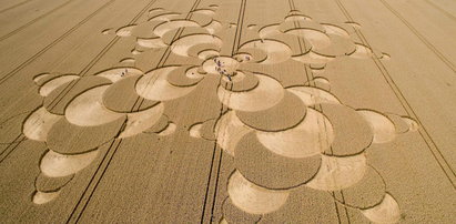 Kręgi w polu kukurydzy. Dziwne wzory zrobiło UFO?