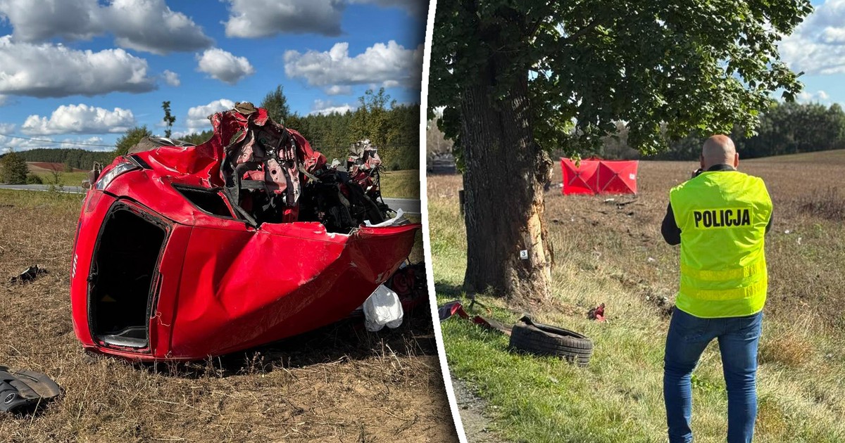 Z auta zostały tylko strzępy. Zdjęcia pokazują siłę uderzenia