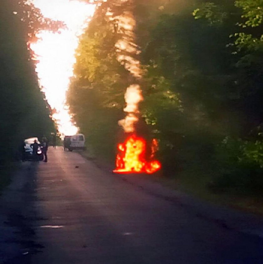 Zderzenie z sarną i pożar auta pod Rawą Mazowiecką