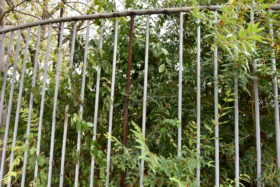 Dete može da se provuče