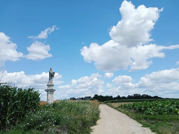 Urokliwe kapliczki wśród sielskich pól Ponidzia. Jest ich tu całe mnóstwo!