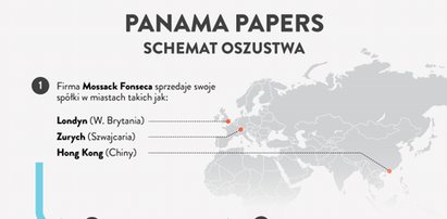 Tak unikali podatków - Panama Papers na jednym obrazku