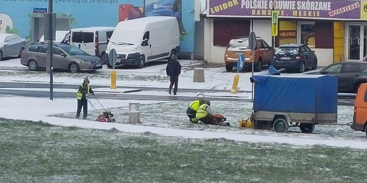 Kuriozalne sceny w Warszawie. Robotnicy kosili zaśnieżony trawnik. 