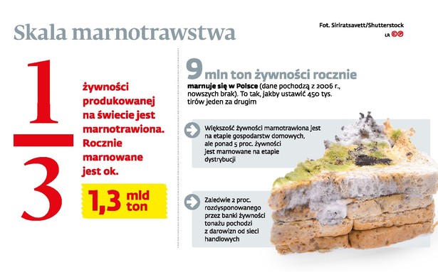 Skala marnotrawstwa