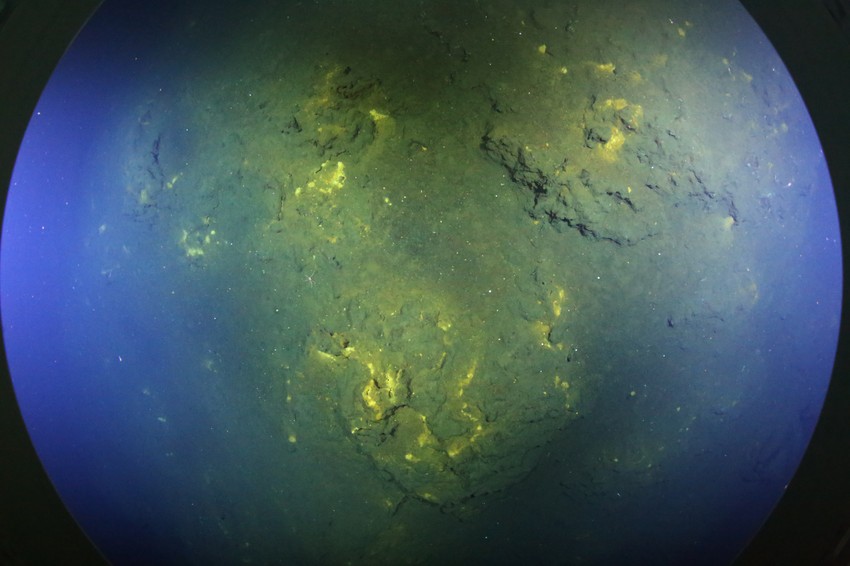 Foto: © ROV-Team, GEOMAR Helmholtz Centre for Ocean Research Kiel

