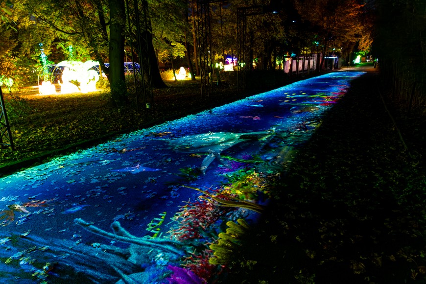 Garden of Lights to pokazy świateł