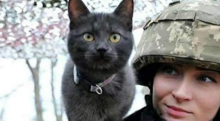 Ukrán katonalány a macskájával