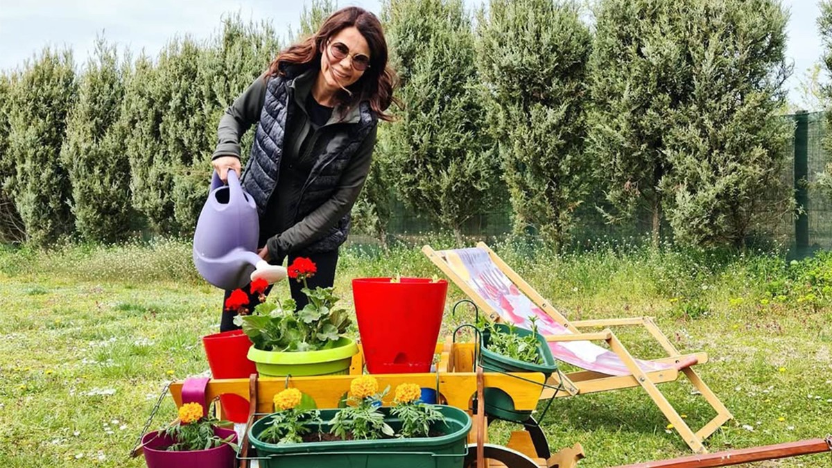 Jelena Bačić Alimpić