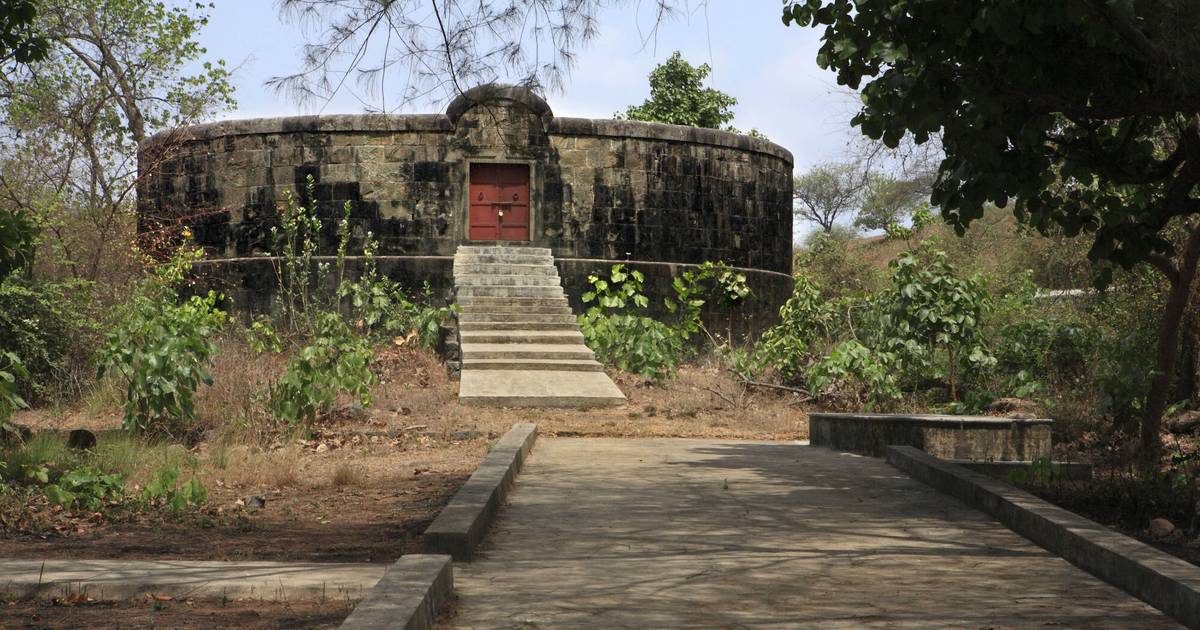 Rytuały pogrzebowe na świecie. "Sępy zostawiły jedynie szkielet"