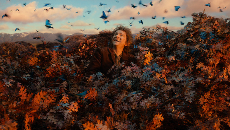 Akcja filmu toczy się 60 lat przed zdarzeniami z "Władcy pierścieni". Bilbo Baggins (Martin Freeman), wraz z czarodziejem Gandalfem (Ian McKellen) oraz kompanią krasnoludów pod wodzą Thorina Dębowej Tarczy (Richard Armitage) wyrusza na wyprawę do Samotnej Góry, której strzeże przerażający smok Smaug