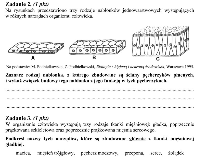 Arkusz egzaminacyjny z biologii na poziomie podstawowym, matura 2013