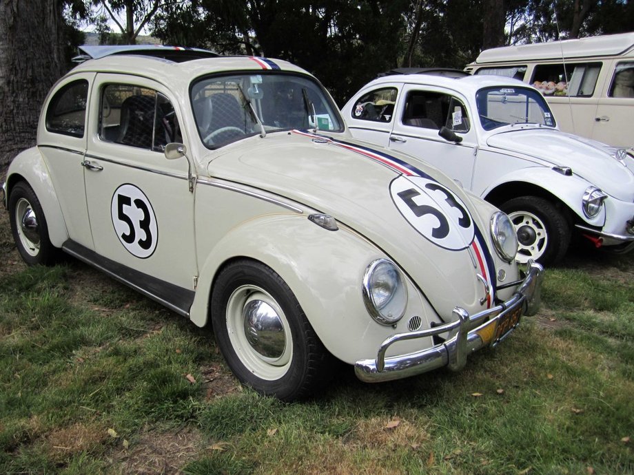 Garbus zdobył popularnośćw innych częściach świata między innymi za sprawą filmu "Herbie".